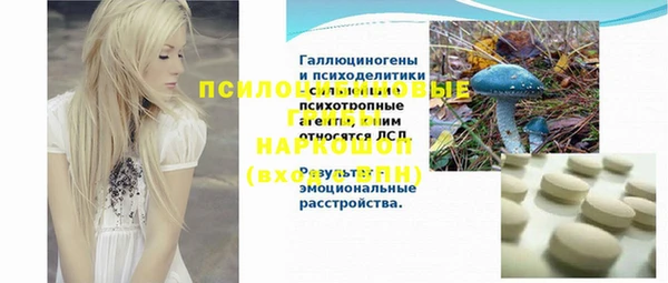 стаф Арсеньев