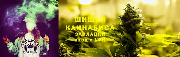 стаф Арсеньев