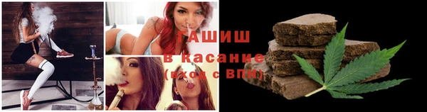 стаф Арсеньев