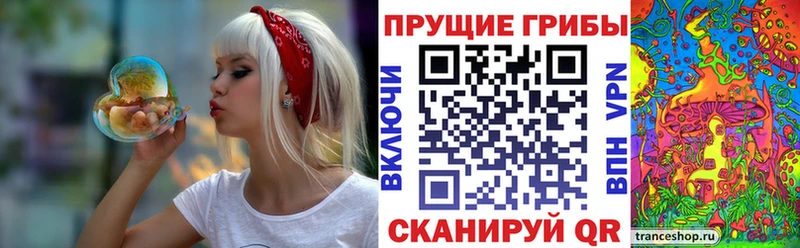 купить  сайты  Сурск  Галлюциногенные грибы Psilocybine cubensis 